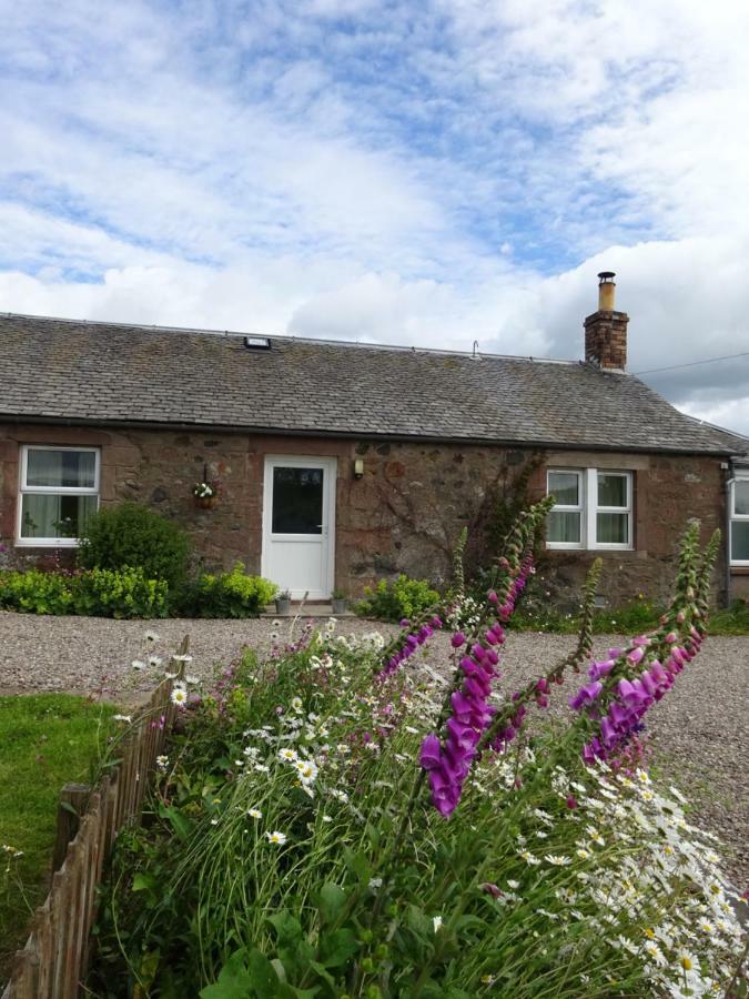 Incheoch Farm Cottage Kilry Exterior foto